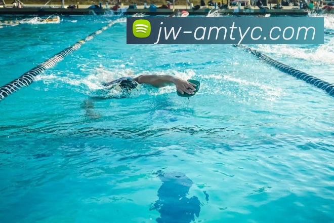 App Interface Preview